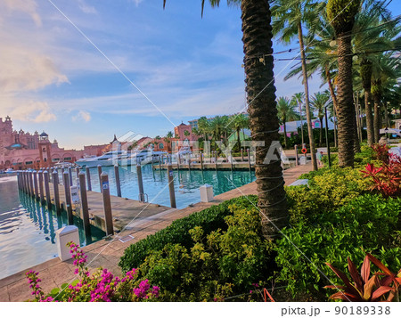 Dock in tropics with palm trees and gardens Dock in tropics with palm trees and gardens 90189338
