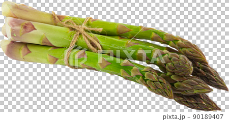 Vegetarian fresh green asparagus. vegetable cut out 90189407