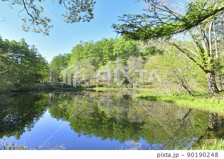 湖面に映る新緑の風景 湖面に映る新緑の風景 90190248