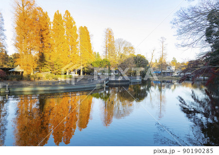 井の頭恩賜公園　井の頭池の風景 90190285