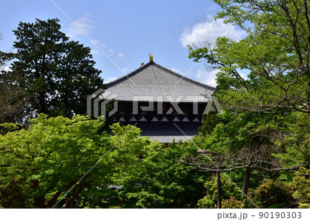 東大寺の青もみじ 90190303