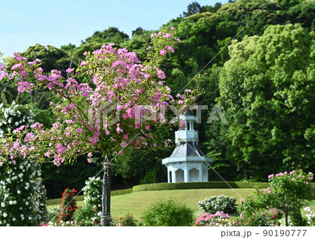 ローズガーデン ローズガーデン 90190777