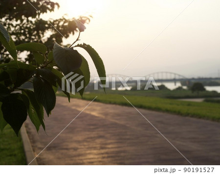 綺麗な風景　夕陽 90191527
