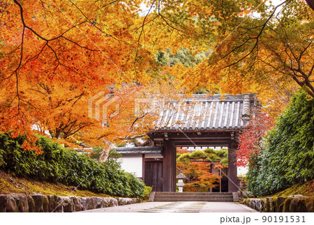南禅寺最勝院の紅葉　京都の紅葉の名所　紅葉の絶景スポット　最勝院高徳庵 90191531
