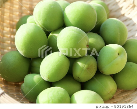 梅　涼しい　涼み　涼味　青梅　収穫　日差し　 90191864