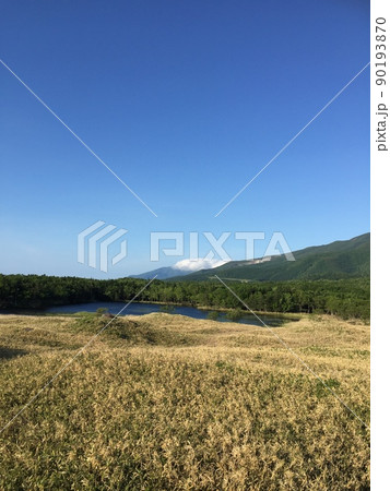 知床五湖高架木道からの景色 90193870