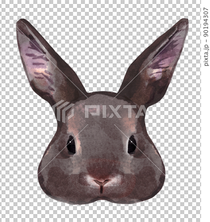 兔子臉的水彩插圖 90194307