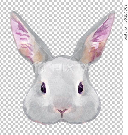 兔子臉的水彩插圖 90194308