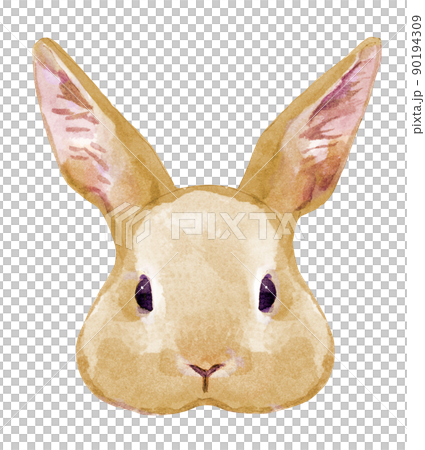 兔子臉的水彩插圖 90194309