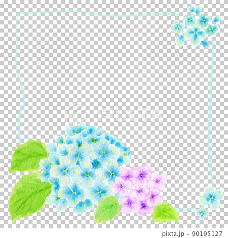 Illustration of hydrangea drawn in watercolor (square) Illustration of hydrangea drawn in watercolor (square) 90195127