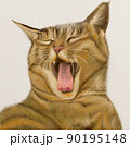 色鉛筆で描いた猫のあくび 90195148