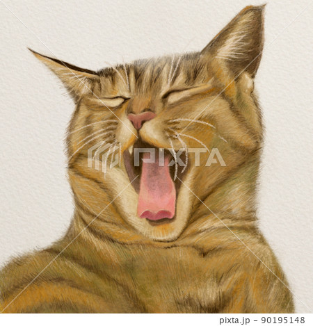 色鉛筆で描いた猫のあくびのイラスト素材