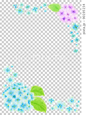 Illustration of hydrangea drawn in watercolor (vertical position) Illustration of hydrangea drawn in watercolor (vertical position) 90195154