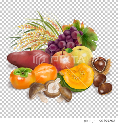 Illustration of autumn taste drawn with colored pencils 90195208