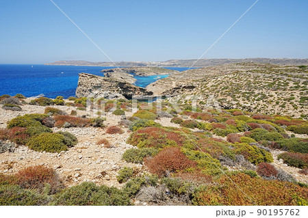 View to blue lagoon on european Comino island in Malta View to blue lagoon on european Comino island in Malta 90195762