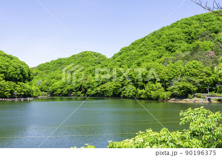 埼玉県寄居町の円良田湖 90196375