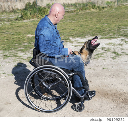 training of belgian shepherd training of belgian shepherd 90199222