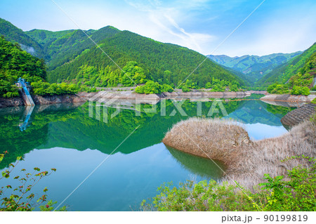 有馬ダム　名栗湖　水鏡　春　新緑の風景 90199819