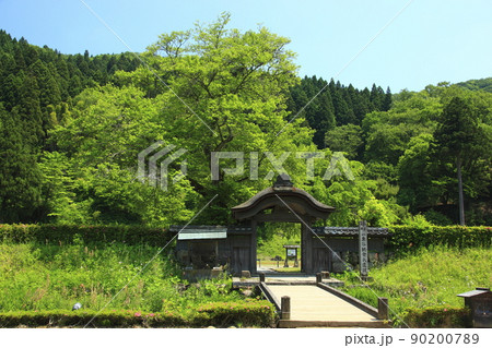 新緑の朝倉氏遺跡 90200789