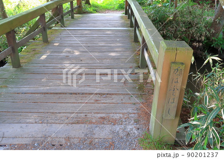 かっぱ淵の景観 かっぱ淵の景観 90201237