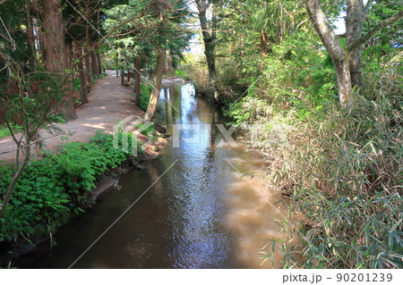 かっぱ淵の景観 かっぱ淵の景観 90201239