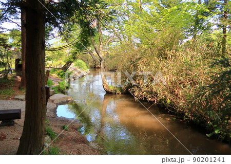 かっぱ淵の景観 90201241