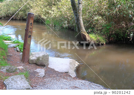 かっぱ淵の景観 かっぱ淵の景観 90201242
