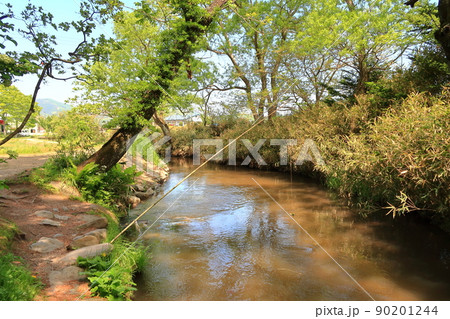 かっぱ淵の景観 かっぱ淵の景観 90201244