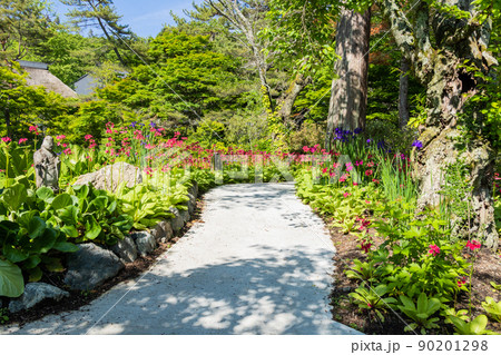 九輪草と石仏の小径 90201298