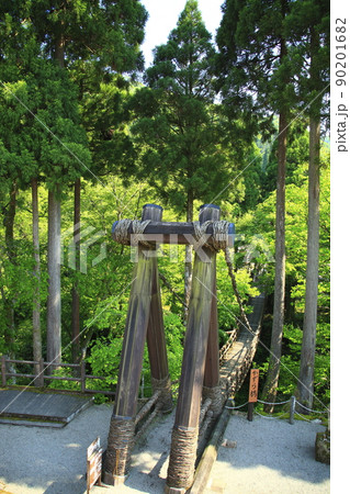 新緑の中のかずら橋 90201682