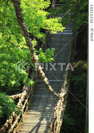 新緑の中のかずら橋 新緑の中のかずら橋 90201683
