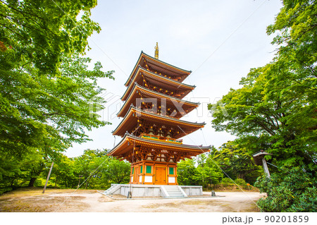 天橋立 傘松公園 天橋立 傘松公園 90201859