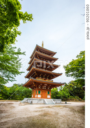 天橋立　傘松公園 90201860