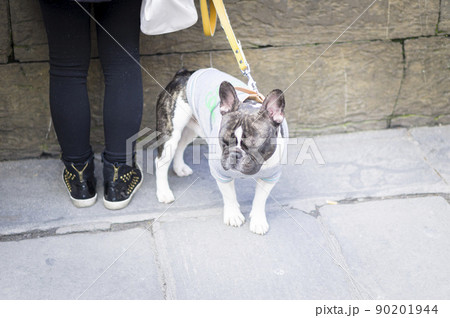 イタリア　フィレンツェ　スナップ　海外　旅行　留学　 90201944