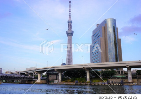 日本 東京都 東京スカイツリー 夕暮れ 日本 東京都 東京スカイツリー 夕暮れ 90202235
