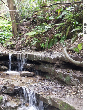 陣ケ下渓谷公園 90202637