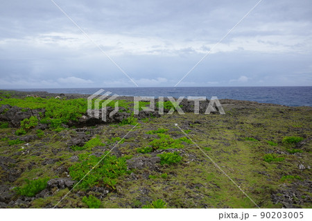荒崎の風景(沖縄・糸満)3 荒崎の風景(沖縄・糸満)3 90203005