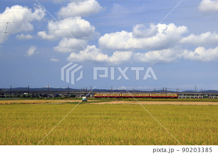 終焉近い信越本線115系快速（懐かしの新潟色） 90203385