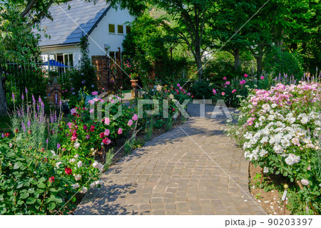 ローザンベリー多和田 薔薇の庭園 ローザンベリー多和田 薔薇の庭園 90203397