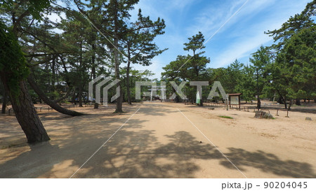 さぬき市琴林公園(津田の松原)2 さぬき市琴林公園(津田の松原)2 90204045