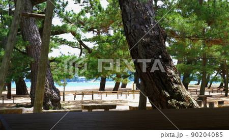 さぬき市琴林公園(津田の松原)9 さぬき市琴林公園(津田の松原)9 90204085