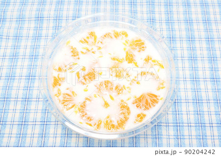 みかんのミルクゼリー 90204242