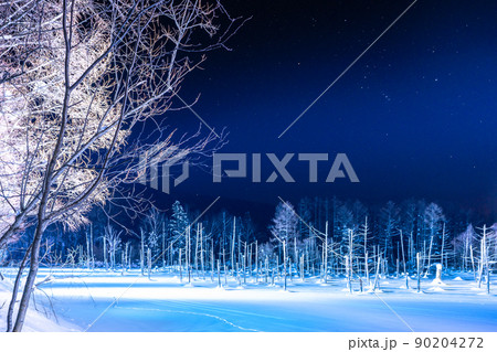 《北海道》冬の美瑛・青い池ライトアップ 90204272