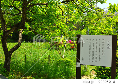 名古屋・桶狭間古戦場 90205018