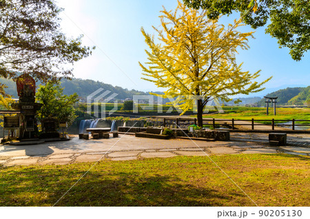 原尻の滝・不動明王像・イチョウの木「東洋のナイヤガラ」秋の紅葉風景 原尻の滝・不動明王像・イチョウの木「東洋のナイヤガラ」秋の紅葉風景 90205130