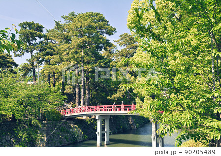 日本100名城・岡崎城 日本100名城・岡崎城 90205489