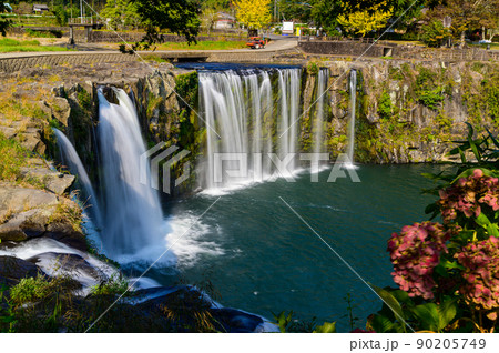 原尻の滝(早朝)滝の水流「東洋のナイヤガラ」秋の紅葉風景 原尻の滝(早朝)滝の水流「東洋のナイヤガラ」秋の紅葉風景 90205749
