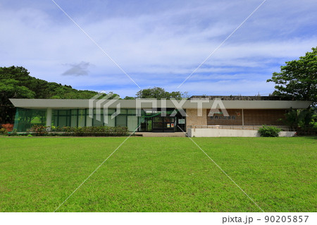 沖縄・石垣島 バンナ公園 世界の昆虫館 沖縄・石垣島 バンナ公園 世界の昆虫館 90205857