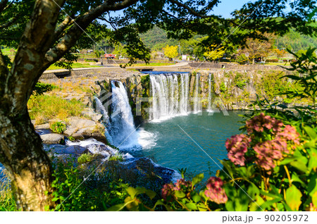 原尻の滝(早朝)滝の水流「東洋のナイヤガラ」秋の紅葉風景 90205972