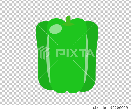 Bell pepper green vegetable illustration 90206009